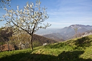 Passeggiando tra Gionc-Canto Alto e Prati Parini - FOTOGALLERY